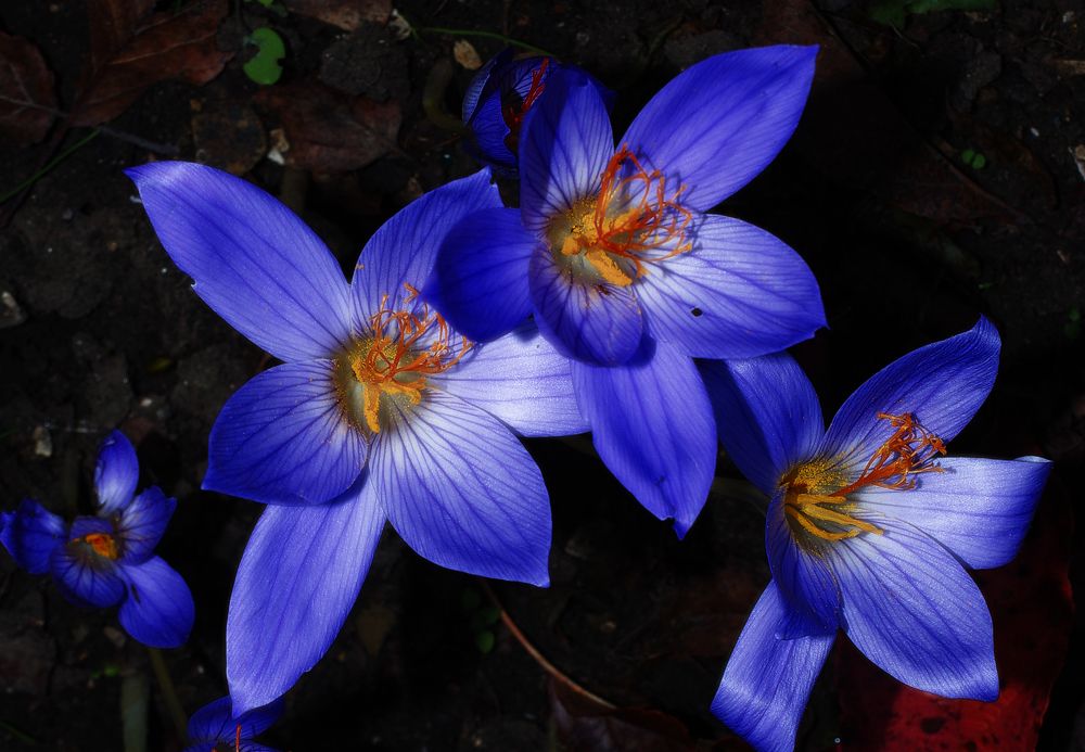 Фотография автора Сергей Гречихин