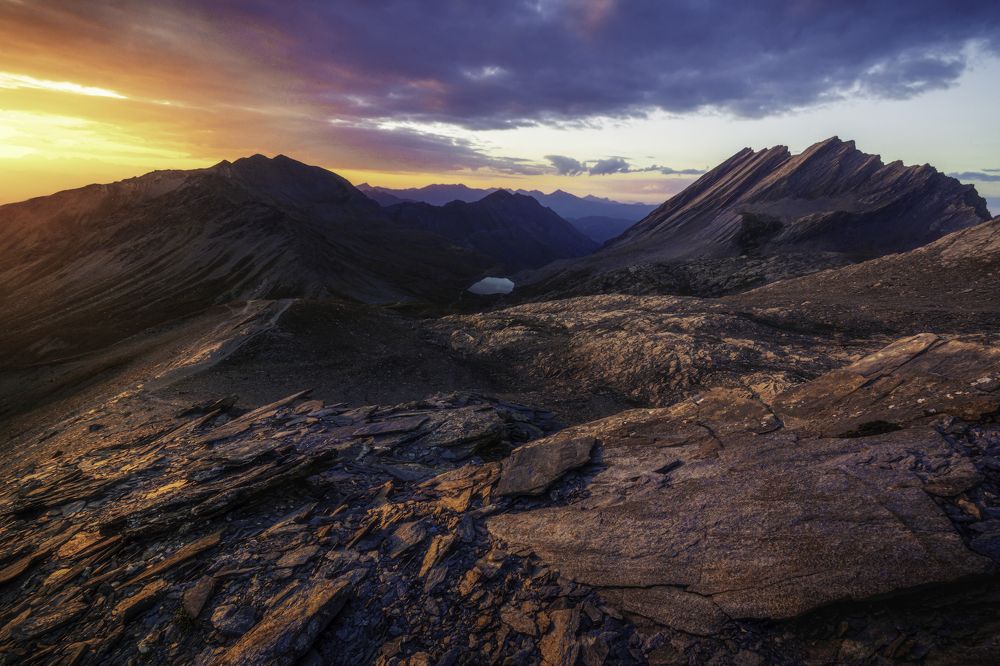 Photograph by Matteo Martin