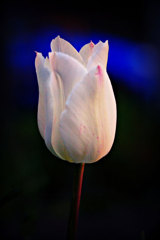 Photograph by Геннадий Натье (Игнатьев)