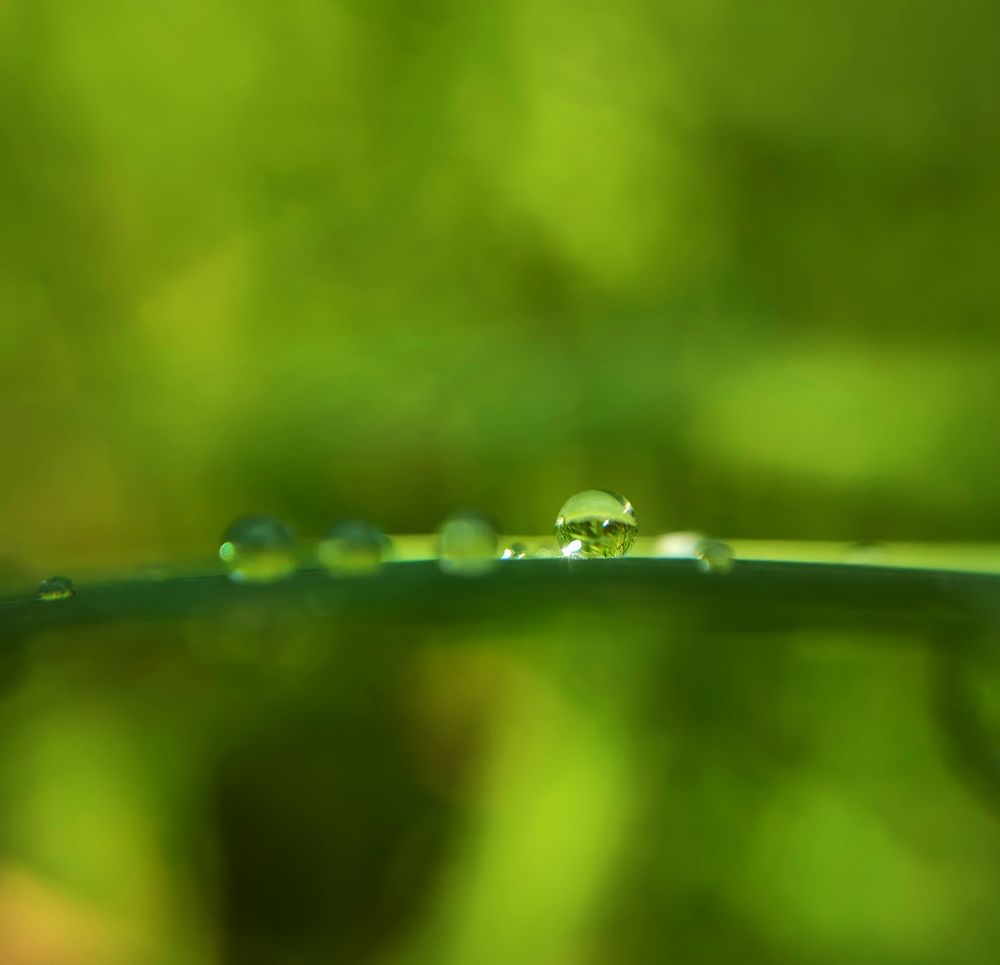 Фотография автора Светлана Смирнова