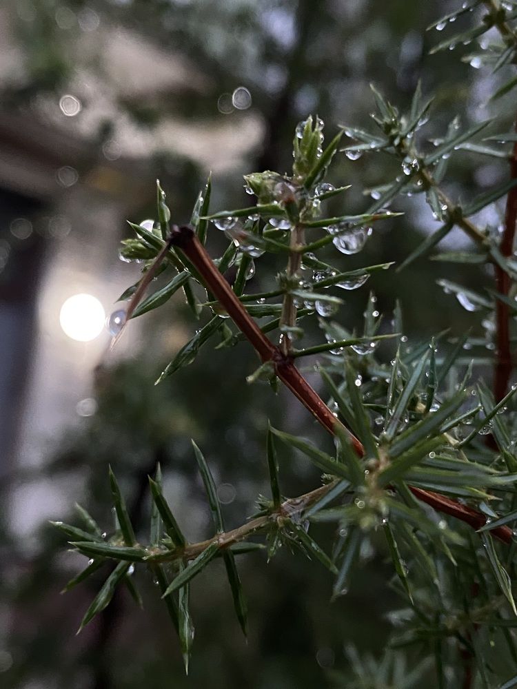 Photograph by Екатерина Балакина