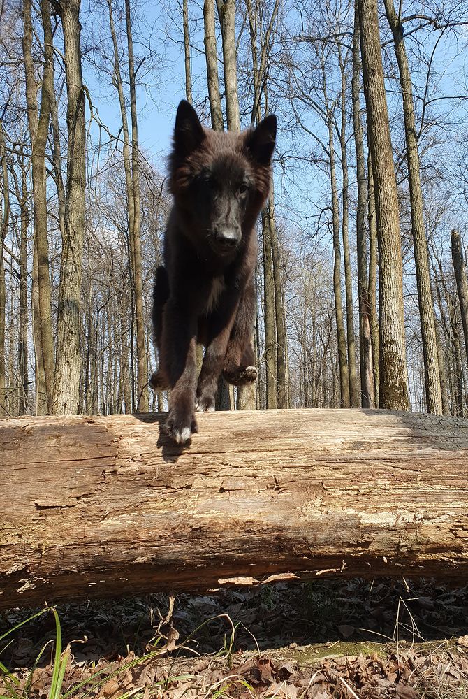 Фотография автора Надежда Лисицына