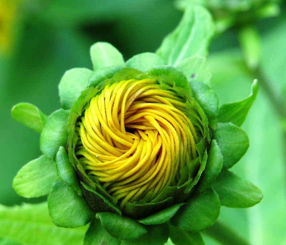 Photograph by Елена Казарина