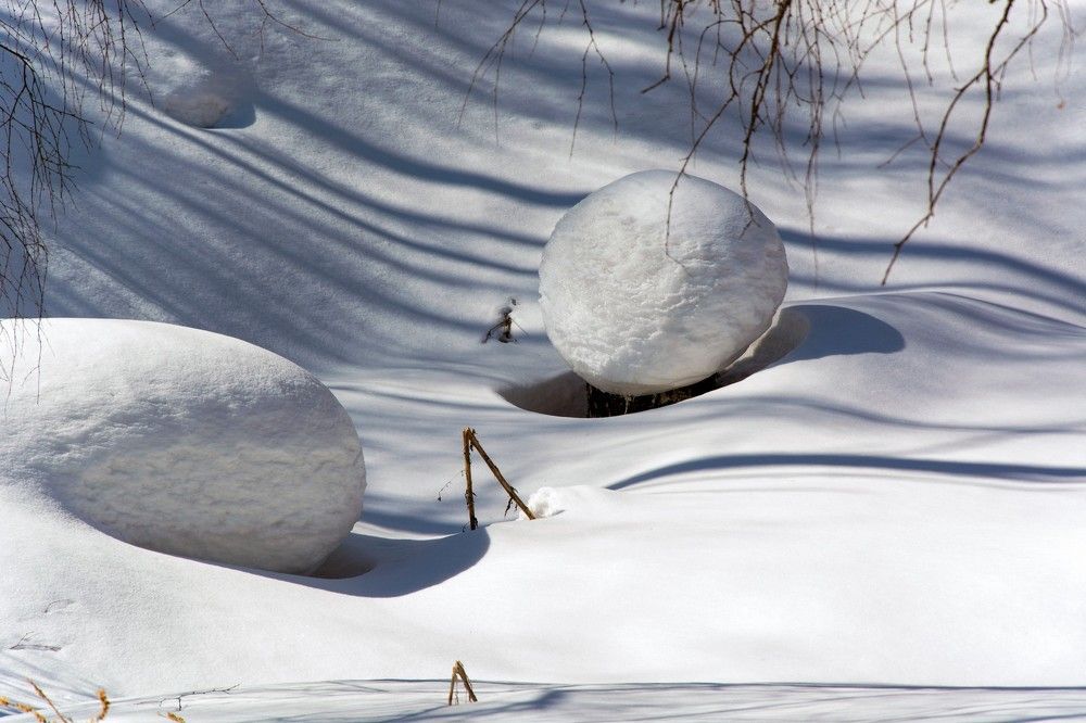 Photograph by Михаил Лавренков