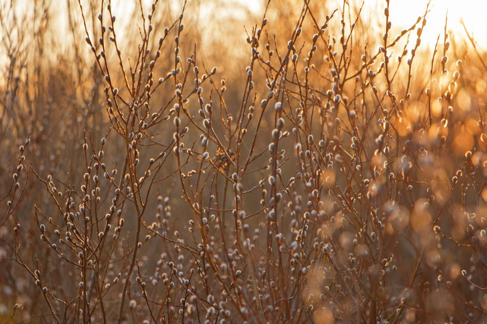 Photograph by Анастасия Северюхина