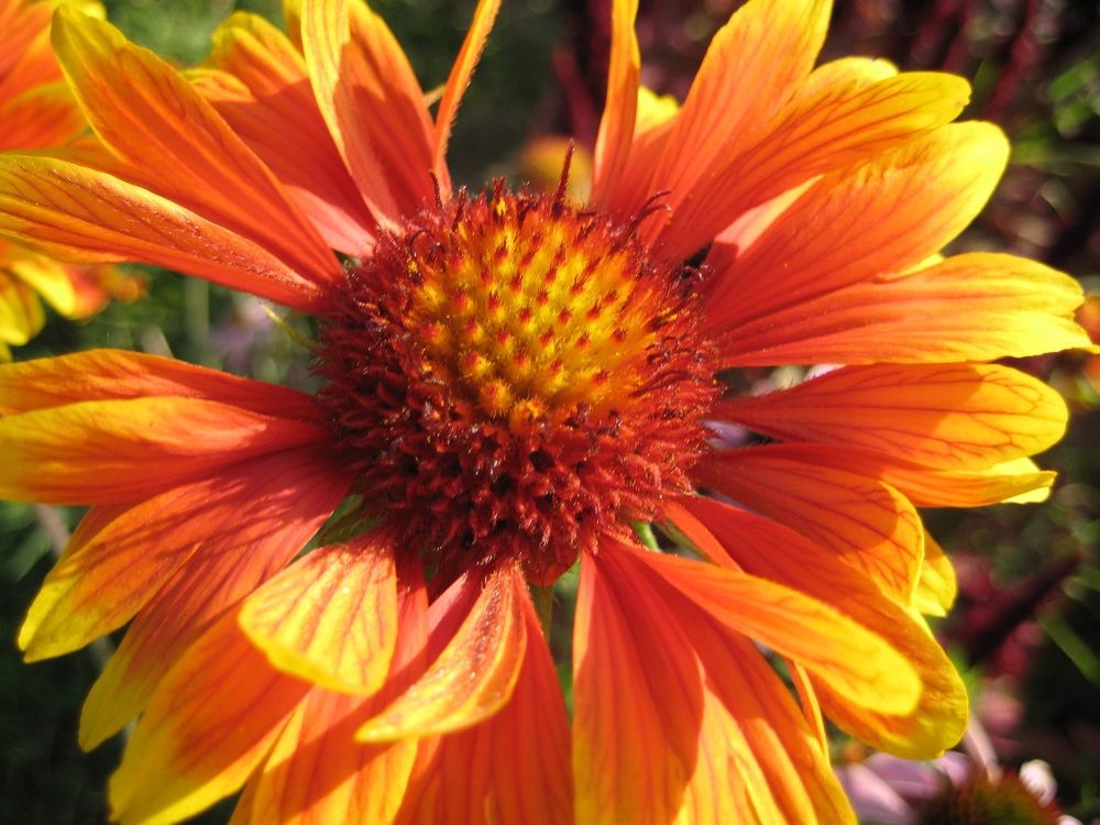 Photograph by Людмила Баглей