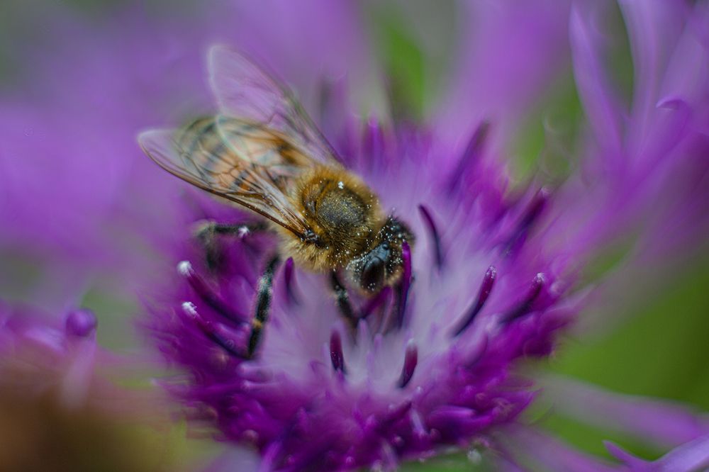 Photograph by Наталия Колтакова