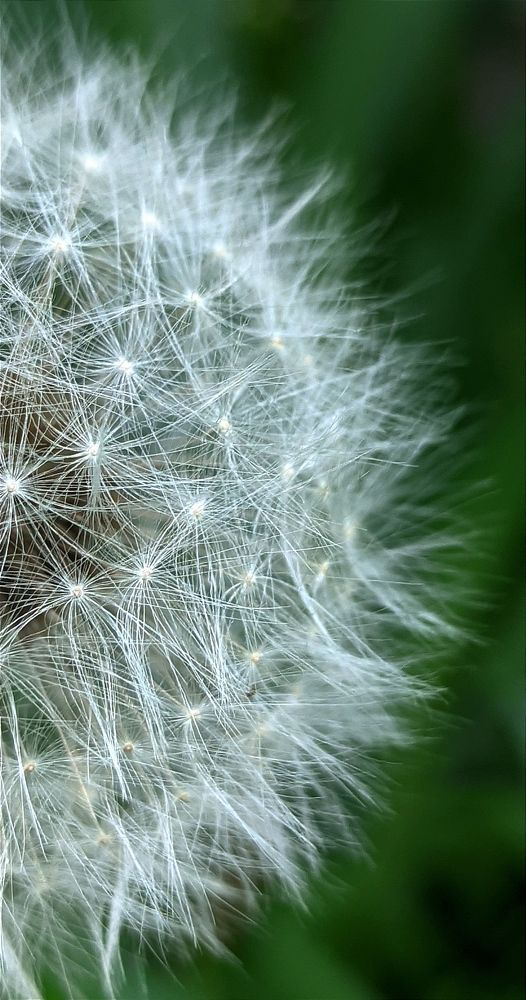 Фотография автора Васильева Ирина