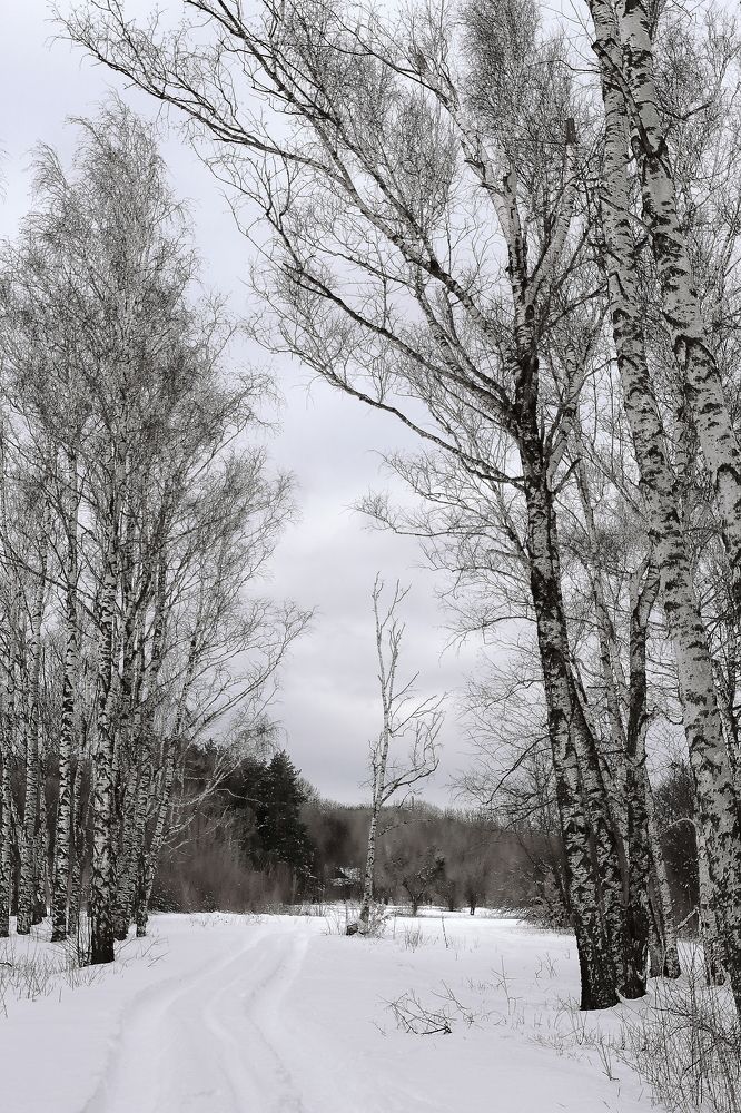 Photograph by Геннадий Натье (Игнатьев)