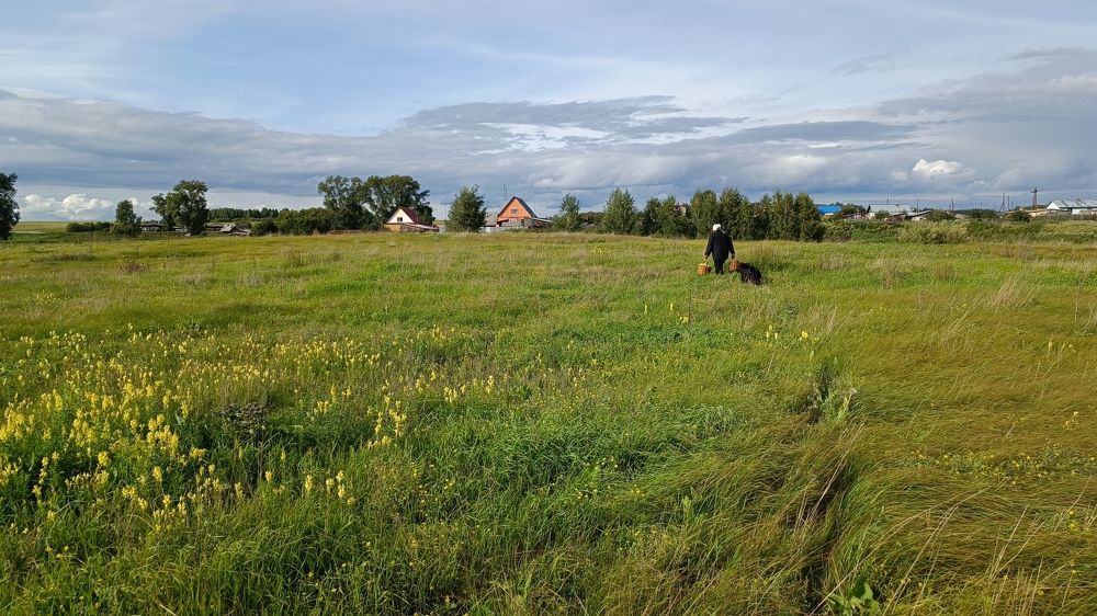 Домой. С грибами.