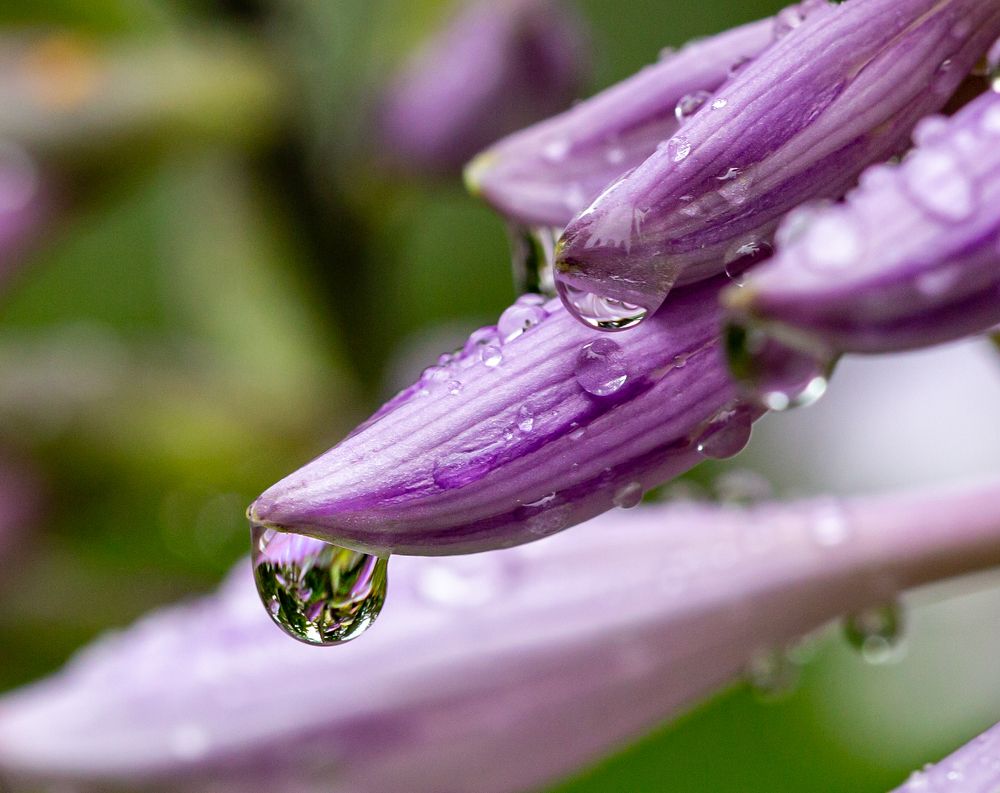 Фотография автора Людмила Прокофьева