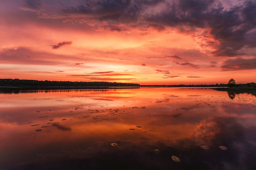 Photograph by Светлана Гущина