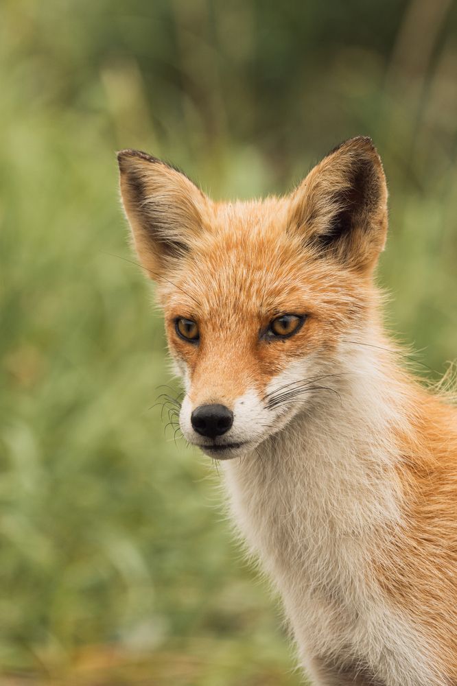 Photograph by Гусаров Андрей