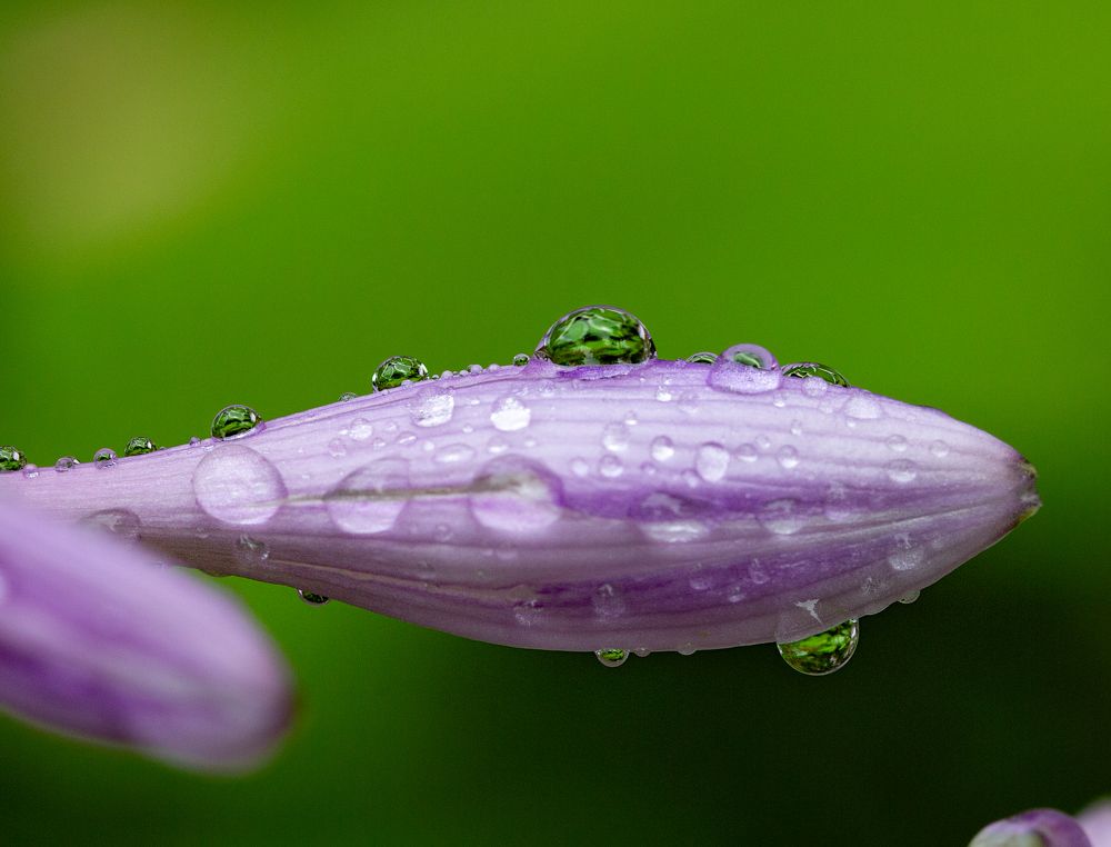 Фотография автора Людмила Прокофьева