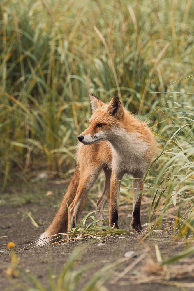 Photograph by Гусаров Андрей