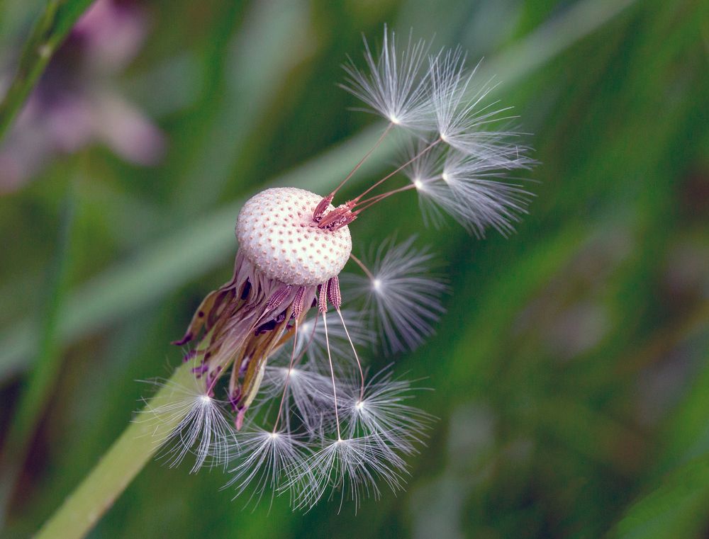 Фотография автора Людмила Прокофьева