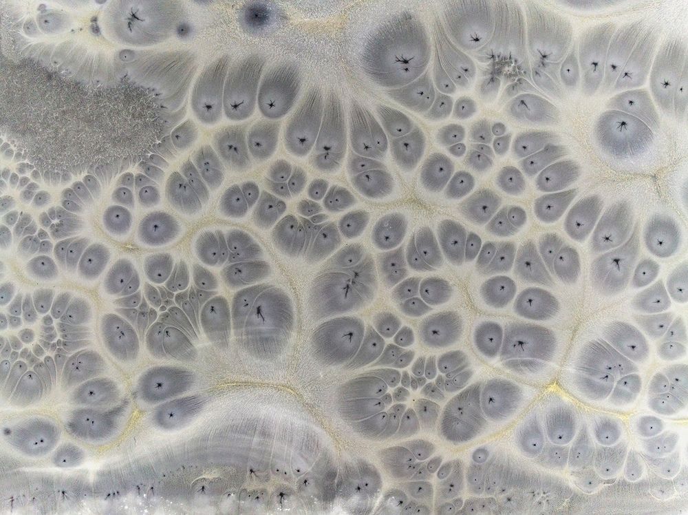 Photograph by Александр Абросимов