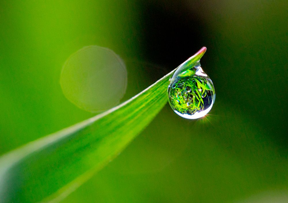 Фотография автора Людмила Прокофьева