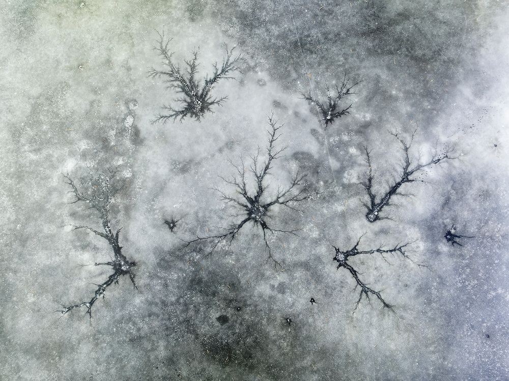 Photograph by Александр Абросимов