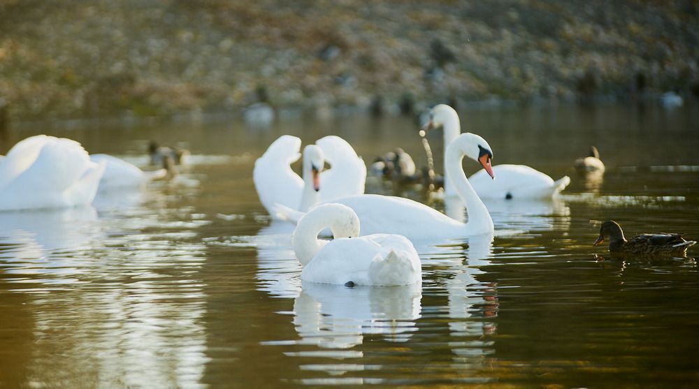 Фотография автора Вагуро Евгений