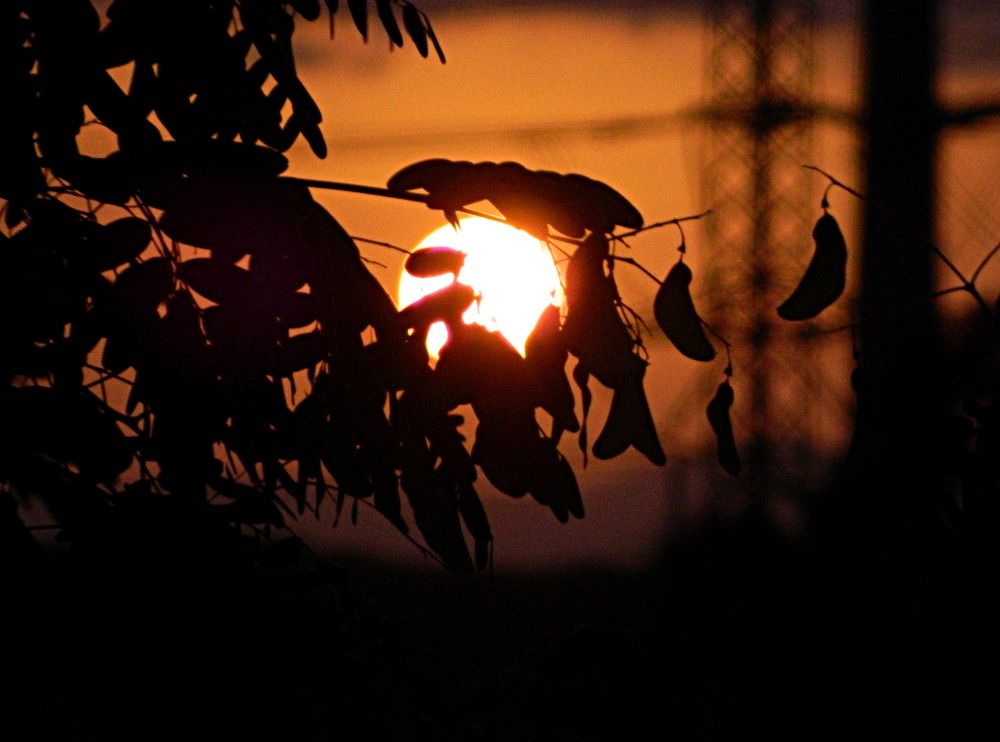 Photograph by Сергей Рапопорт