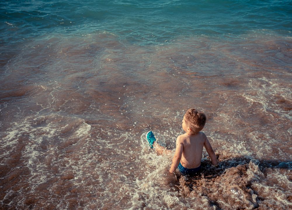 Фотография автора COMSA BOGDAN