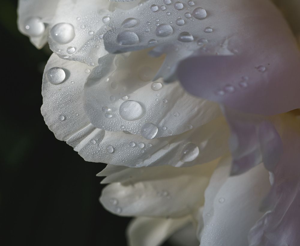 Photograph by Зеленько Дмитрий