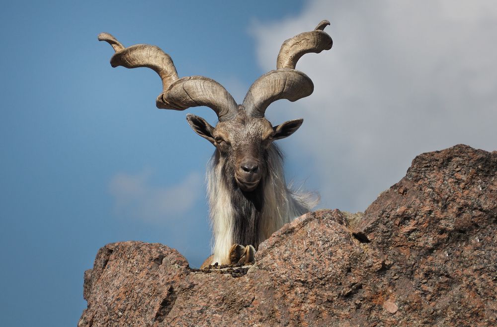 Photograph by Андрюс Киркляускас