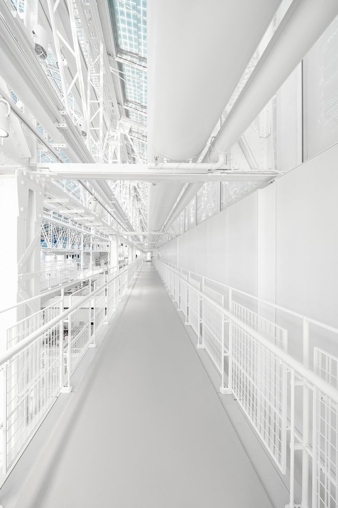 Фотография автора Мазурева Анастасия