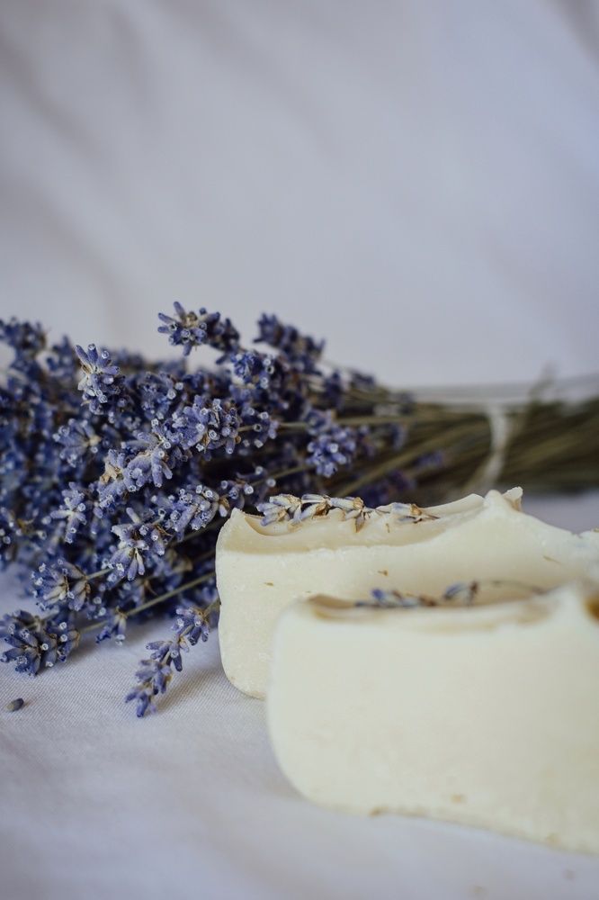 Фотография автора Ксения Вабищевич