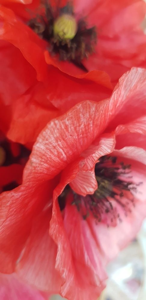 Фотография автора Ольга Мусина