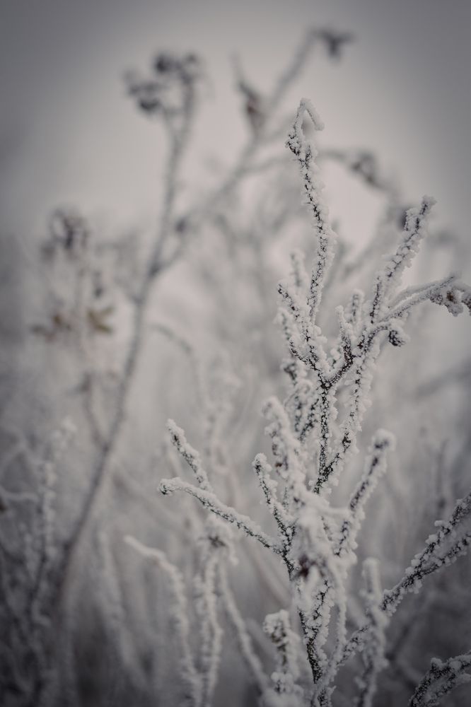 Фотография автора Ксения Вабищевич