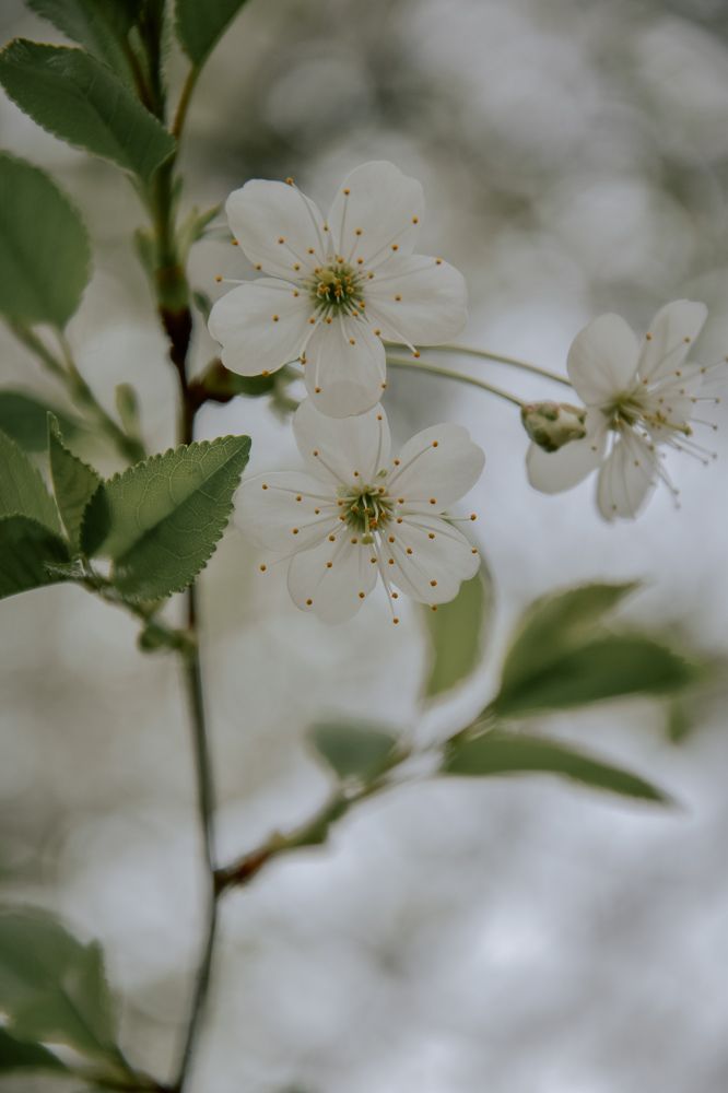 Фотография автора Ксения Вабищевич