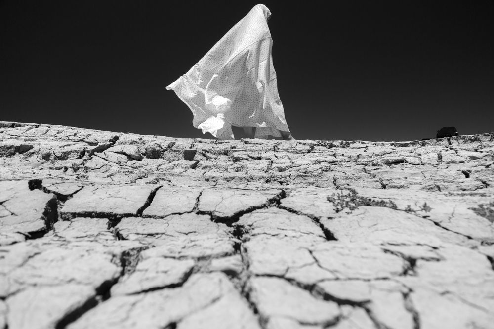 Photograph by seyed mostafa yousefi