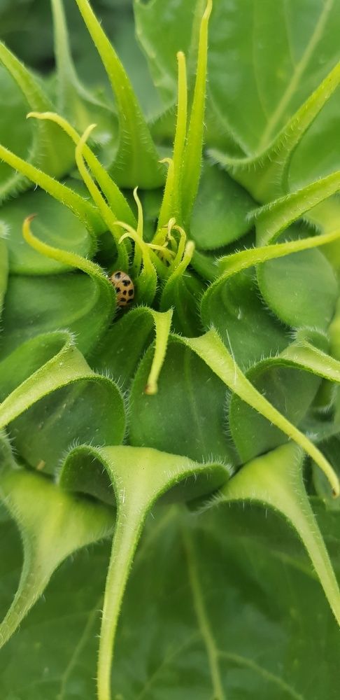 Фотография автора Ольга Мусина