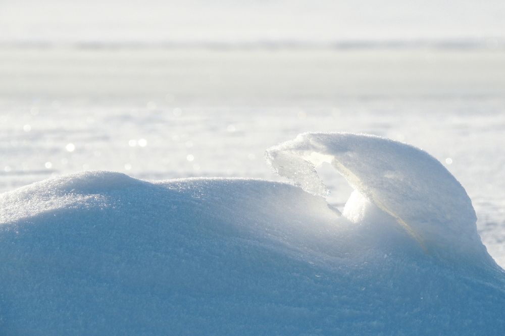 Photograph by Дмитрий Салов
