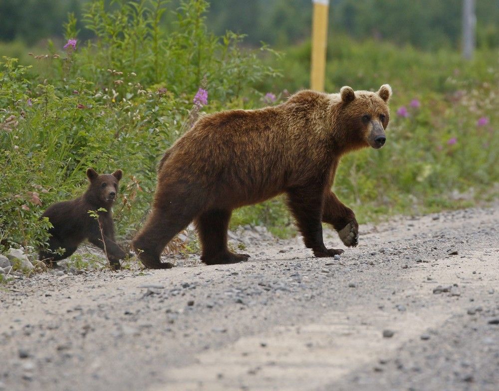Photograph by Наталья Турчик