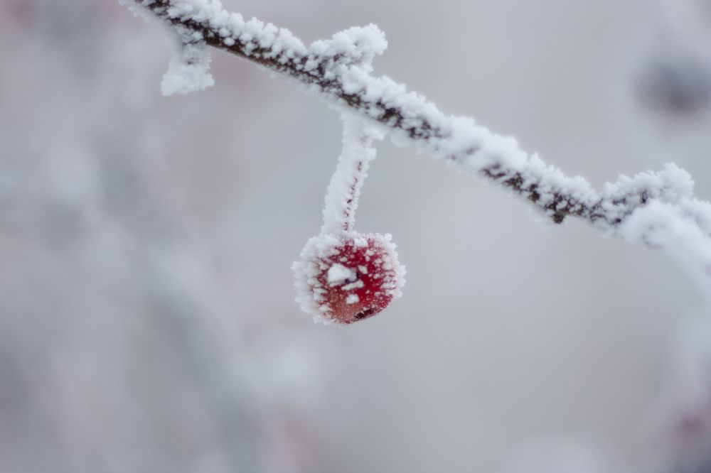 Photograph by Никита Павлов