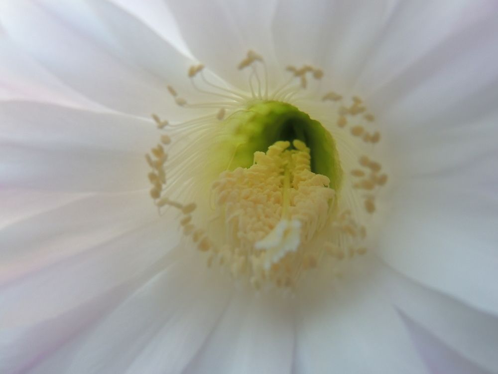 Photograph by Дмитрий Салов
