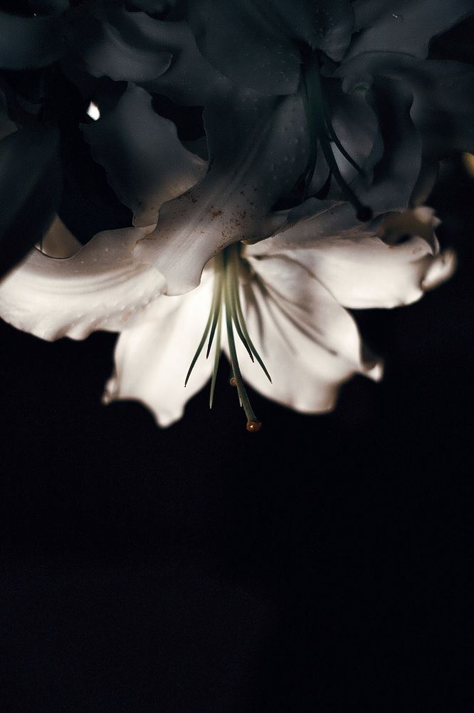 Photograph by Никита Павлов