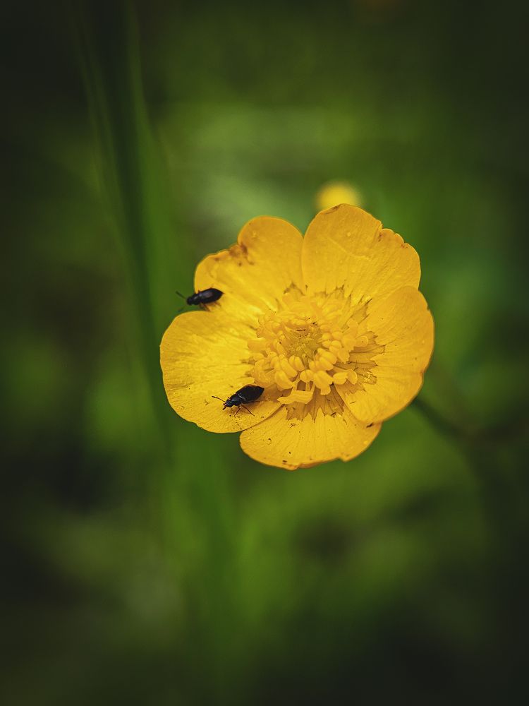 Photograph by Марина Копылова