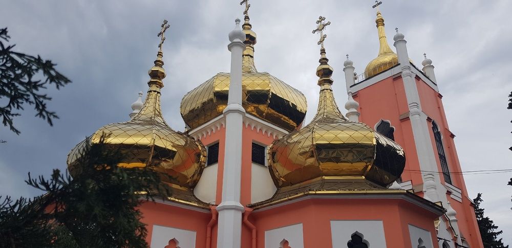 Фотография автора Ольга Мусина