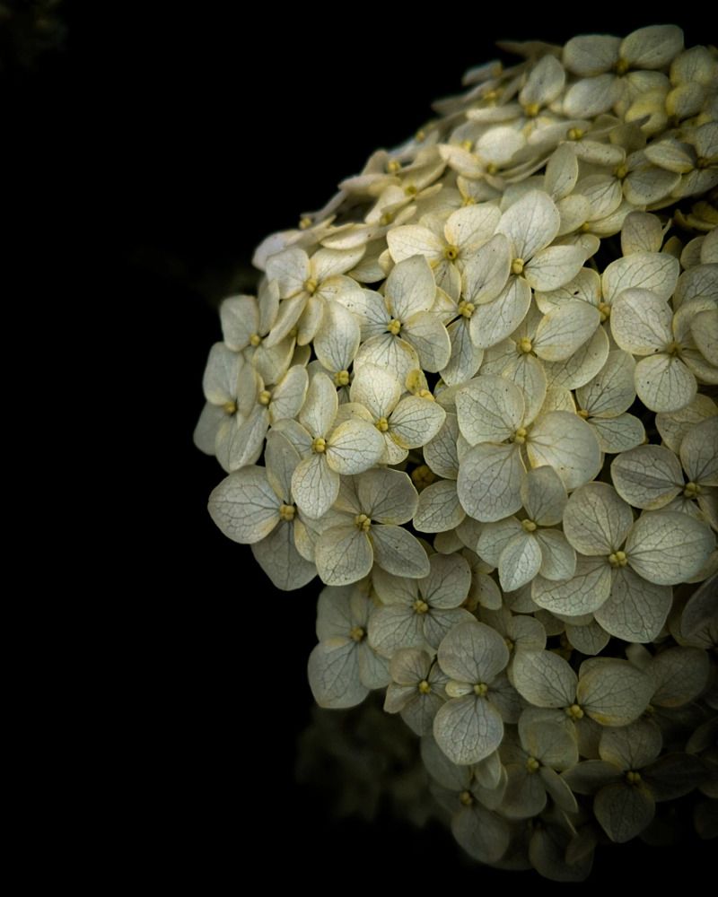 Photograph by Дарья Макаревич