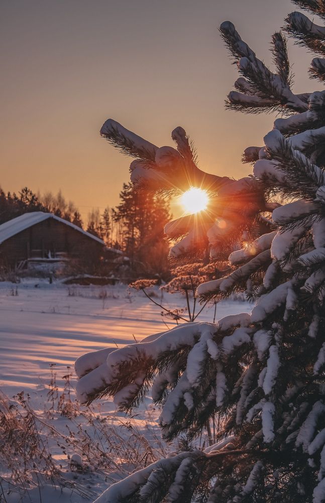 Photograph by Марина Копылова