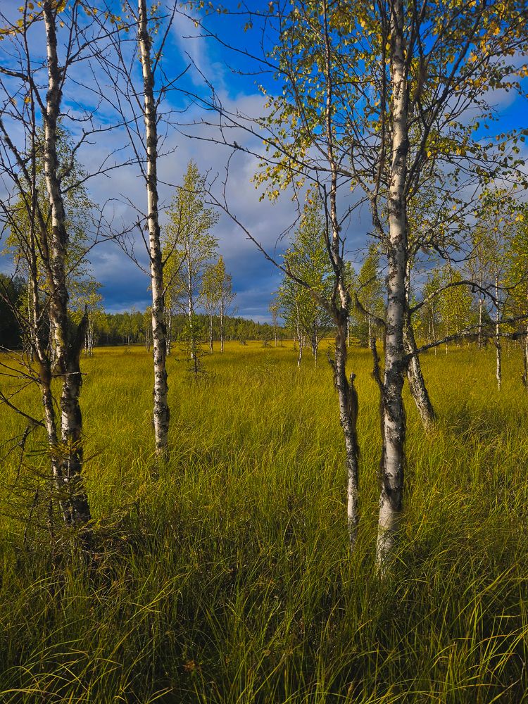 Photograph by Марина Копылова