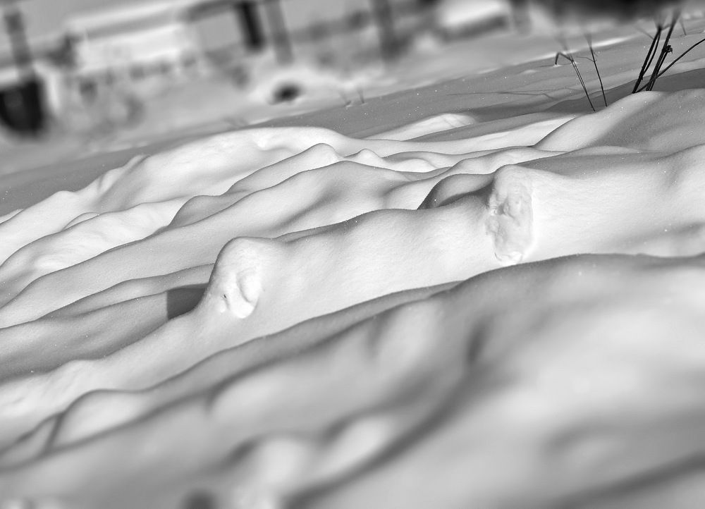 Photograph by Евгений Жиляев