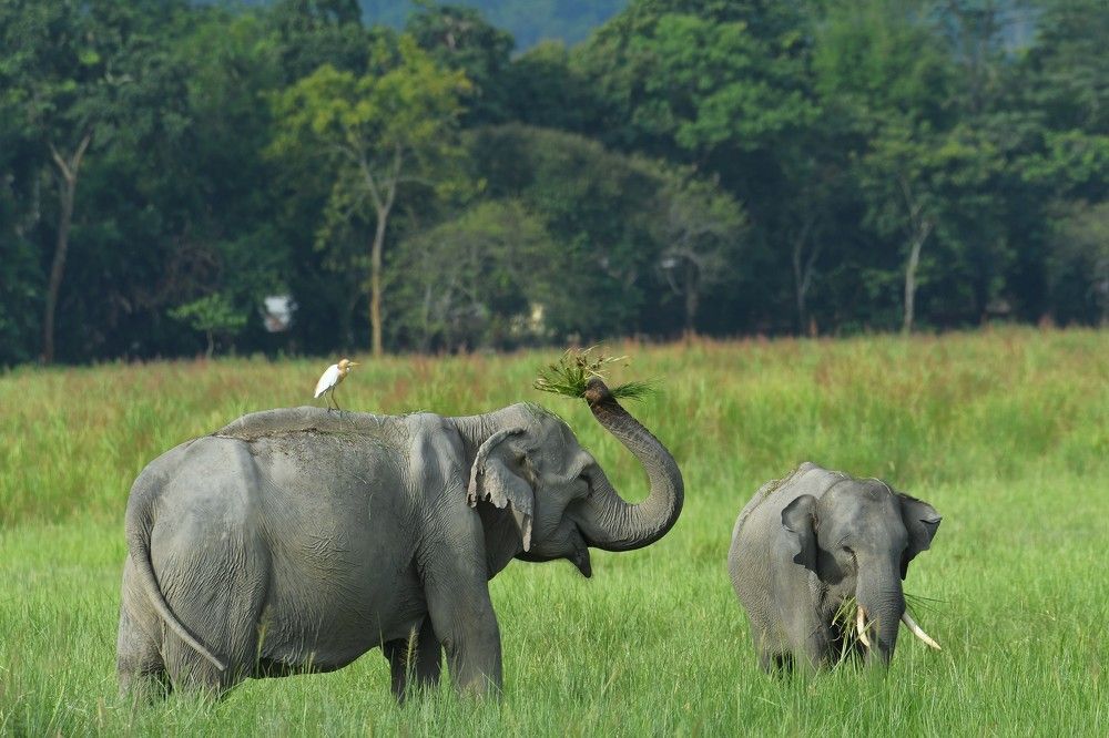 Photograph by Preet saluja