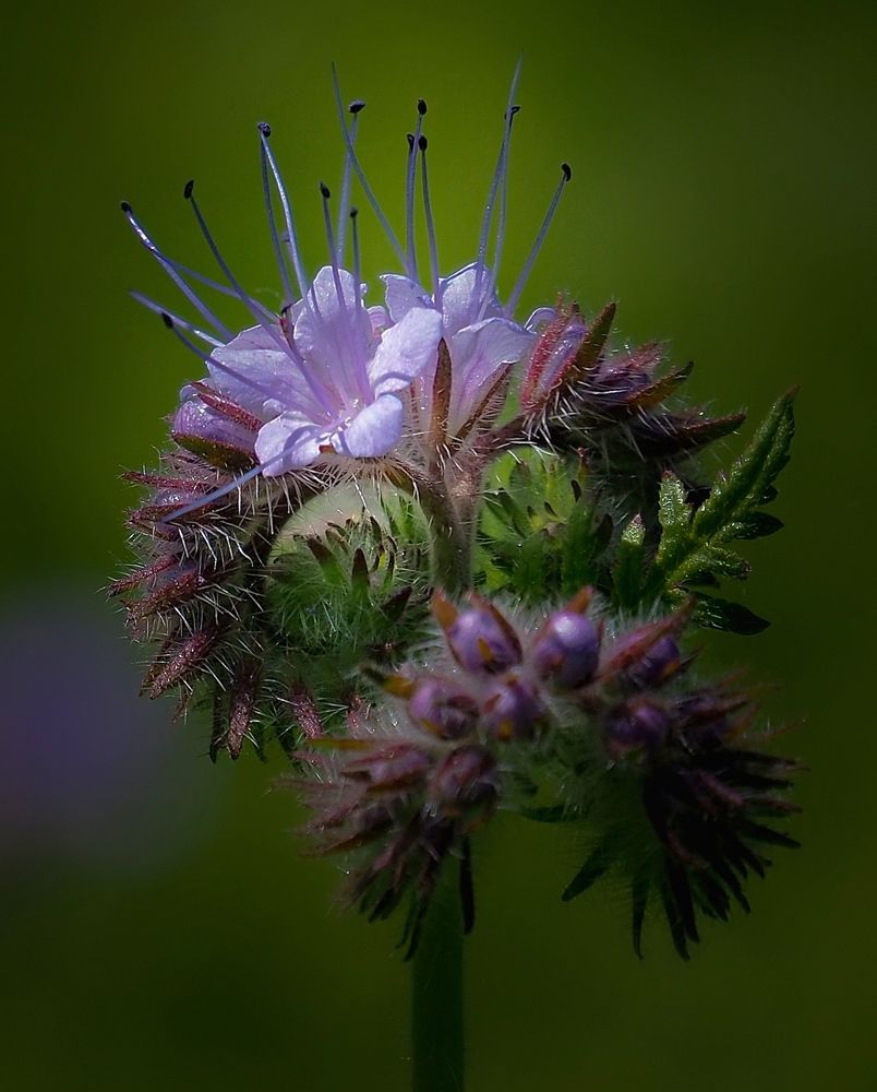 Photograph by Андрюс Киркляускас