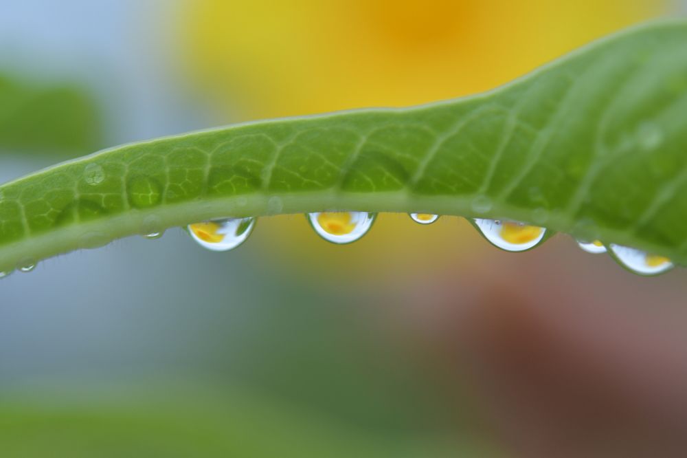 Photograph by Preet saluja