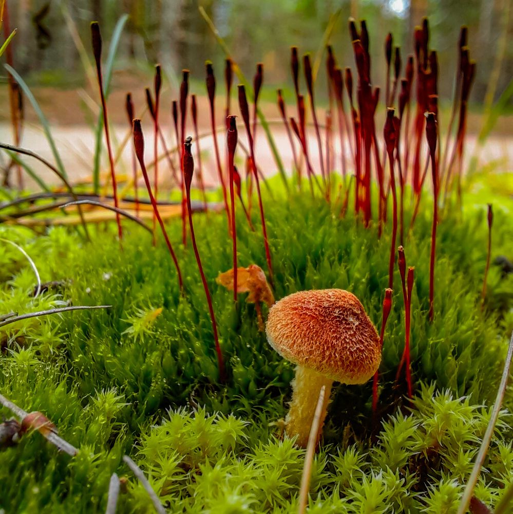 Photograph by Романов Роман